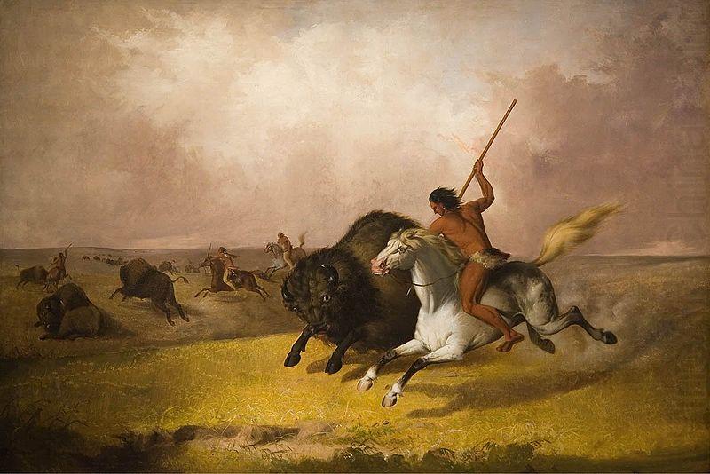 John Mix Stanley Buffalo Hunt on the Southwestern Prairies china oil painting image